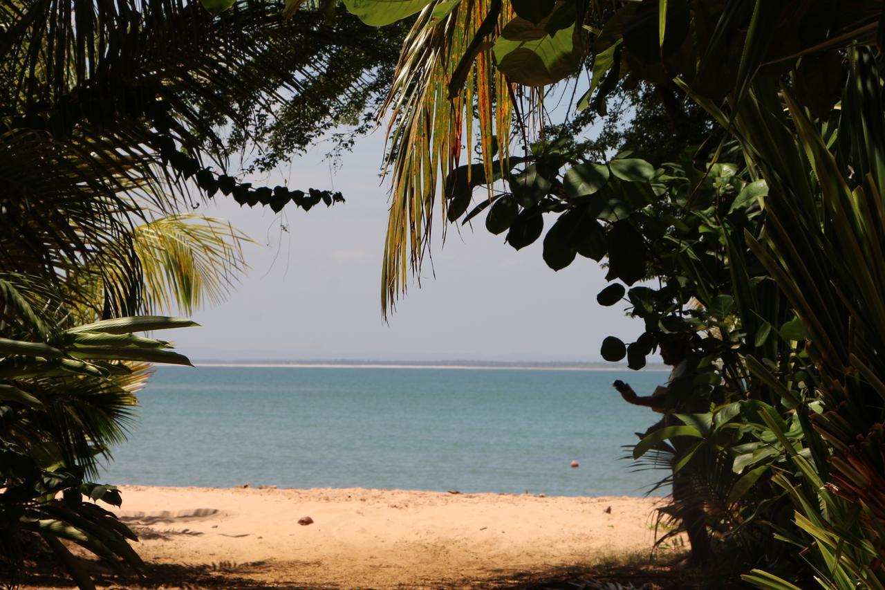 Coroaci Beach House Barra Grande  Exterior foto